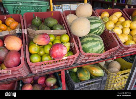 Tropical Fruit Crate .